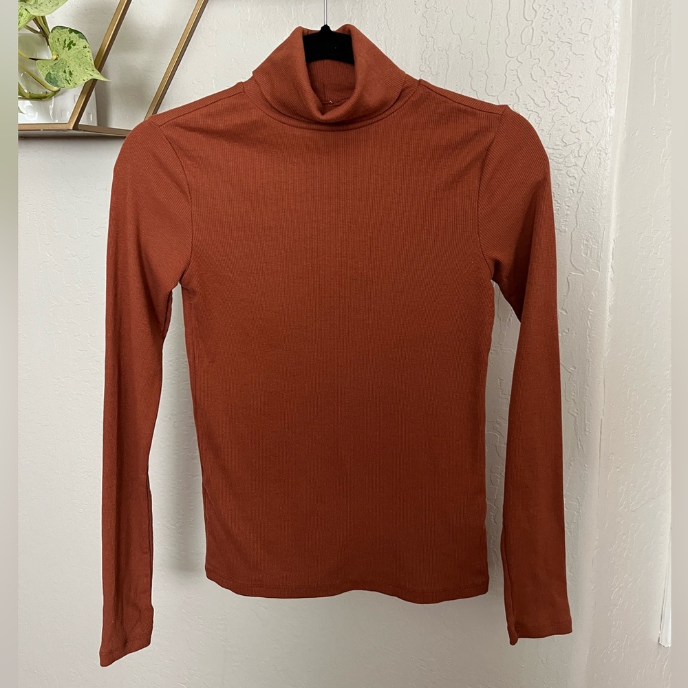 Burnt orange long sleeve turtleneck